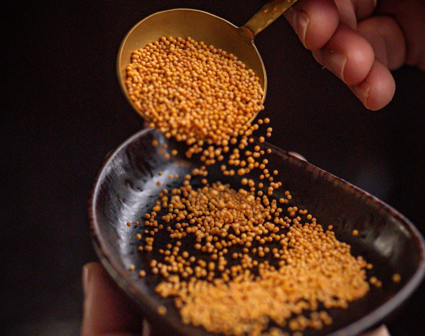Vegetarian and Vegan Indian Dining in Westminster